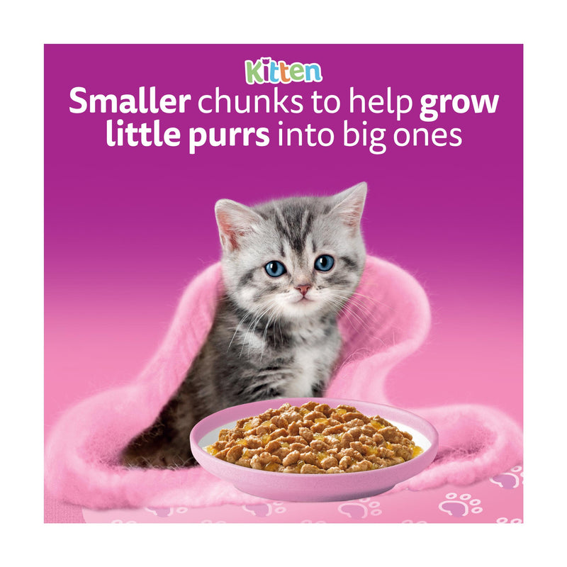 Whiskas kitten wet food fish favourites in jelly 12x85g (British brand)