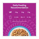 Whiskas 7+ fish favourites jelly senior cat food 12x85g - British product