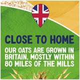 Alpro original long life oat drink 1L (British brand)