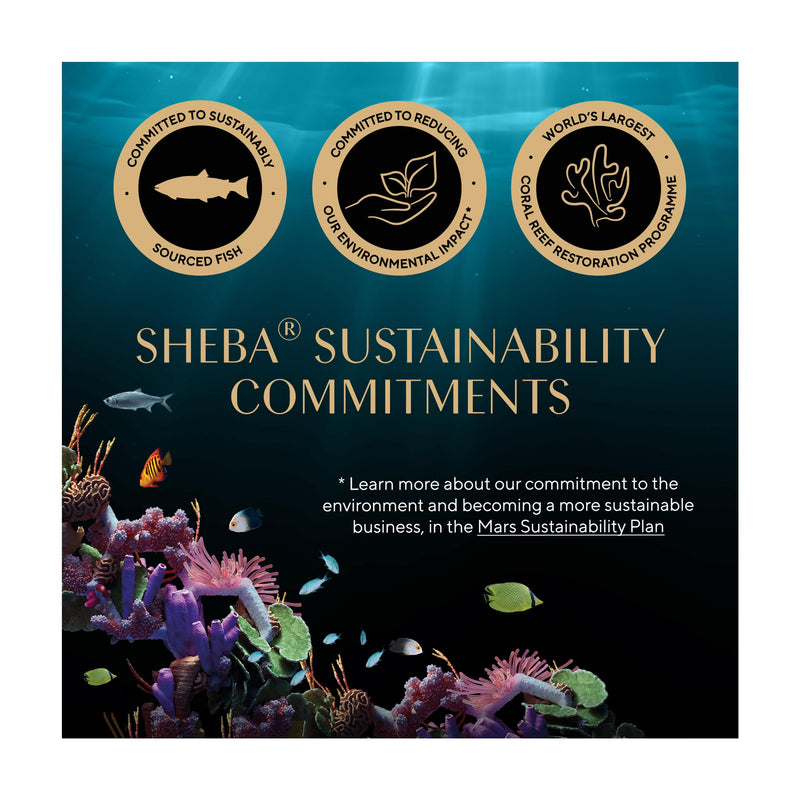 Sheba cat food pouches Tuna Cod gravy 6x50g, UK version