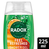 Sainsburys Radox Feel Refreshed Eucalyptus & Citrus Shower Gel 225ml- Buy online at McGrocer