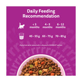Whiskas chicken kitten dry cat food 1.9kg - British product