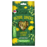 Burgess Excel 60g Luscious Leaves Small Animal Treats
