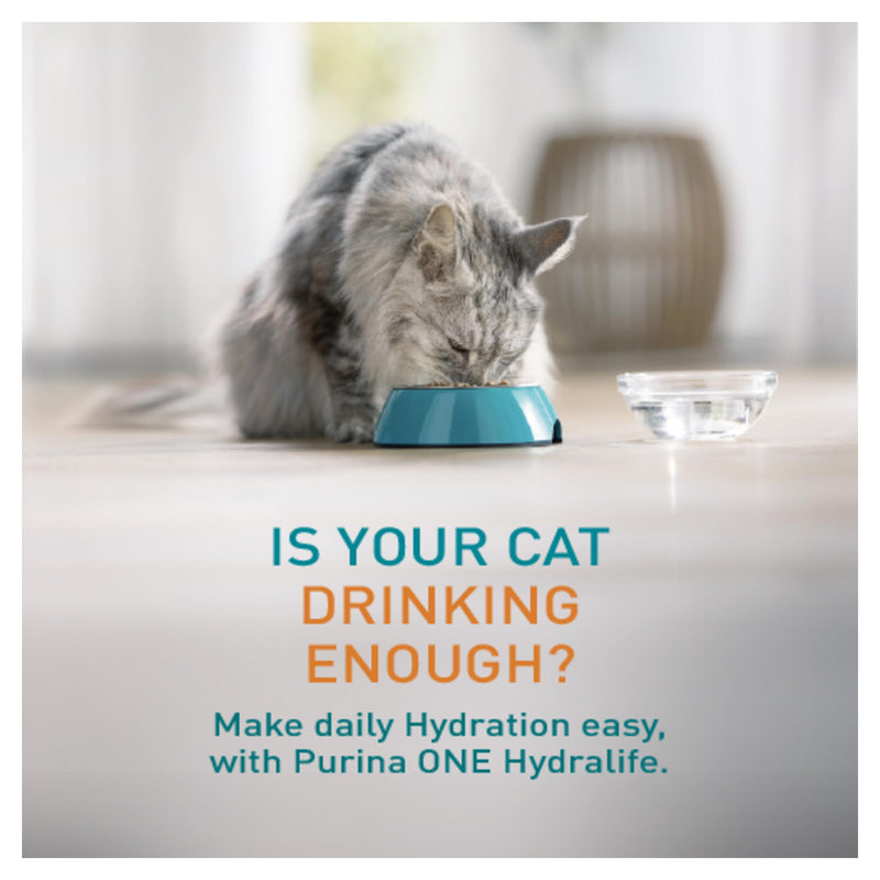 Purina One Hydralife Chicken Supplement 6 x 50g, imported from the UK