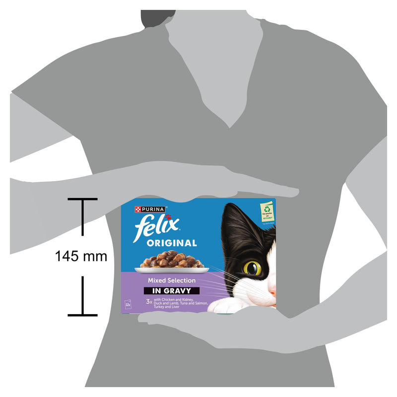 Felix Mixed Selection Gravy wet cat food 12x85g, UK version