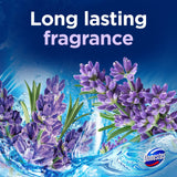 Domestos lavender rim block 2x50g, imported from the UK