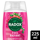 Sainsburys Radox Feel Radiant Shower Gel Strawberry & Raspberry Body Wash 225ml- Buy online at McGrocer