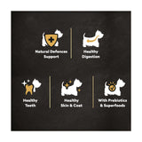 Cesar dry dog food beef poultry and vegetables 1.4kg, UK version