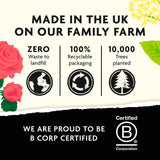 Belvoir Farm Elderflower & Rose Cordial 500ml - British product