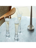 LSA International Moya champagne flutes and bucket set 12 pieces (British brand)