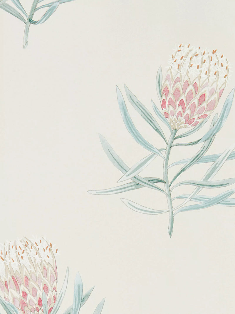 Sanderson Protea flower wallpaper roll, imported from the UK