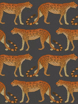John Lewis Cole & Son Leopard Walk Wallpaper 10m x 52cm- Buy online at McGrocer