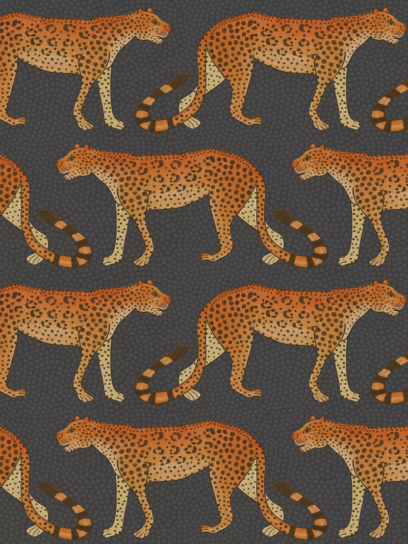 Cole & Son wallpaper Leopard Walk 10m x 52cm, UK version