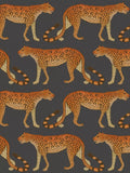 Cole & Son wallpaper Leopard Walk 10m x 52cm, UK version