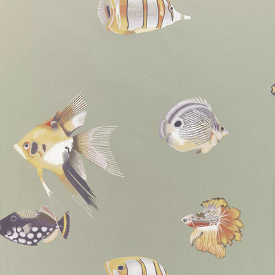 John Lewis Harlequin Kamanu Wallpaper Botanical Fish Design L10.05m x W68.6cm- Buy online at McGrocer