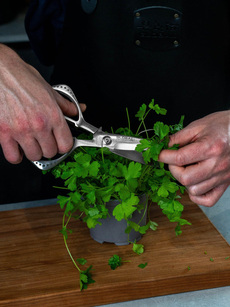 GLOBAL stainless steel kitchen shears from Japan, UK version