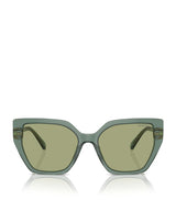 Harrods Swarovski Acetate SK6016 Sunglasses- Buy online at McGrocer