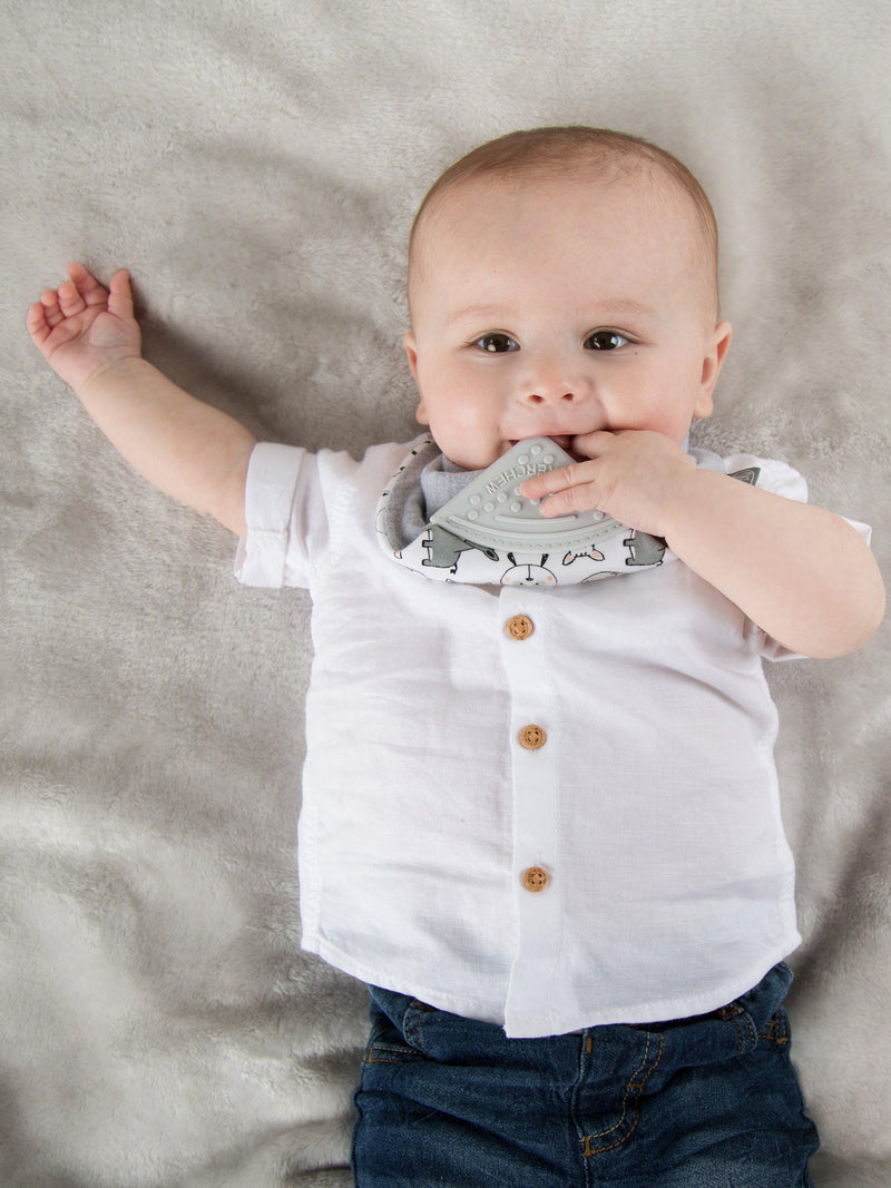 Cheeky Chompers teething dribble bib Panda Pals - British product