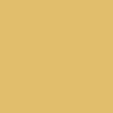 The Little Greene Paint Company Absolute Matt Emulsion Yellows Tester Pot