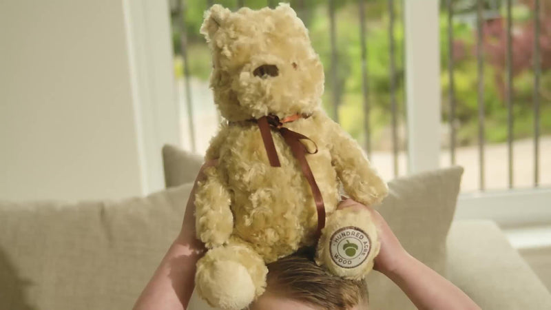 Disney Winnie the Pooh cuddly soft toy bear (British brand)