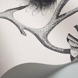 Cole & Son Lily wallpaper 10m x 52cm roll - British product
