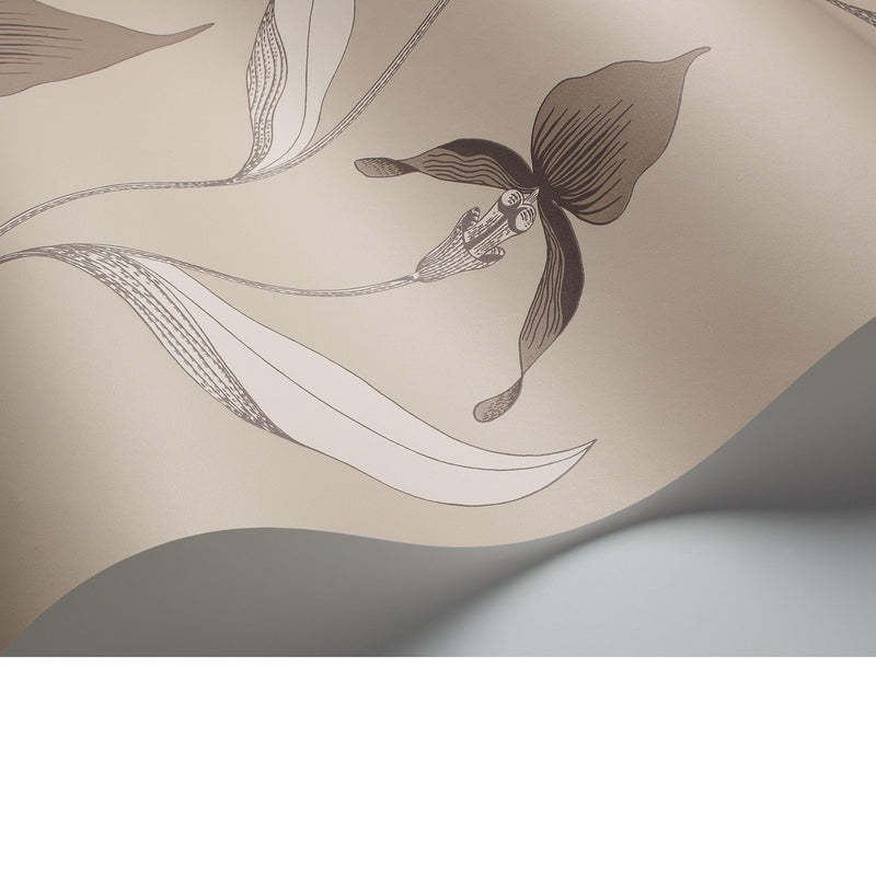Cole & Son orchid wallpaper 10m x 53cm (British brand)