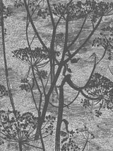 John Lewis Cole & Son Cow Parsley Wallpaper - 10m x 53cm- Buy online at McGrocer