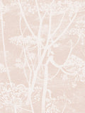 Cole & Son Cow Parsley Wallpaper - 10m x 53cm
