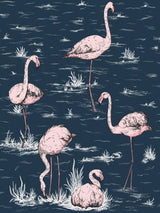 John Lewis Cole & Son Flamingos Wallpaper 10m x 53cm- Buy online at McGrocer