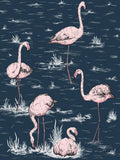 Cole & Son Flamingos wallpaper 10m x 53cm, UK version