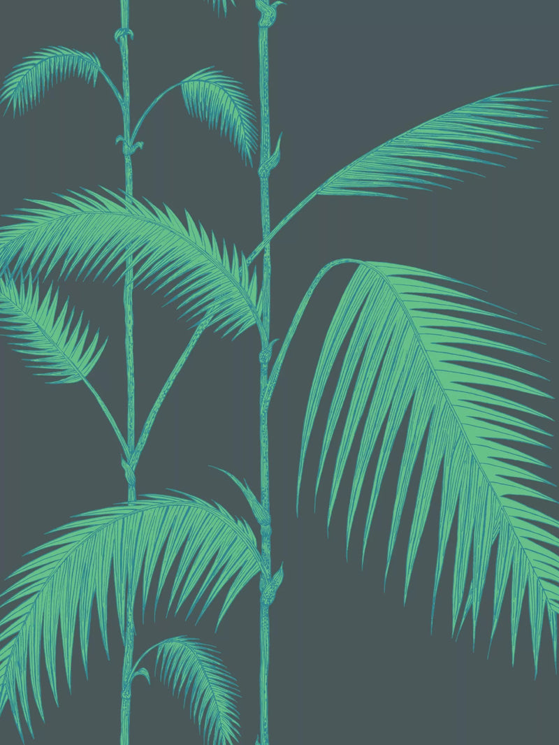 Cole & Son Palm Leaves Wallpaper 10m x 52cm