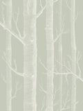 Cole & Son Woods Wallpaper L10m x W52cm