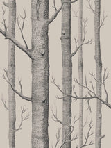 John Lewis Cole & Son Woods Wallpaper L10m x W52cm- Buy online at McGrocer