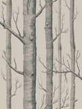 Cole & Son Woods wallpaper leaf pattern 10m x 52cm, UK version