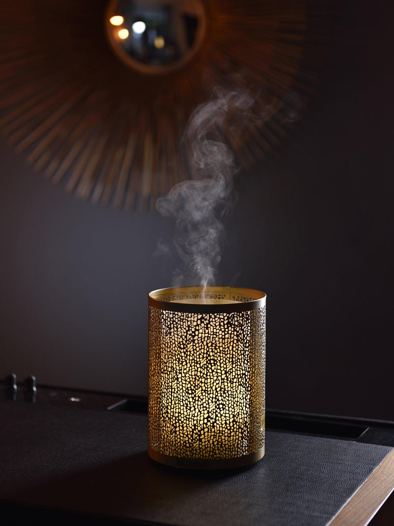 Esteban Electric Perfume Mist Diffuser Gold 100ml - British product