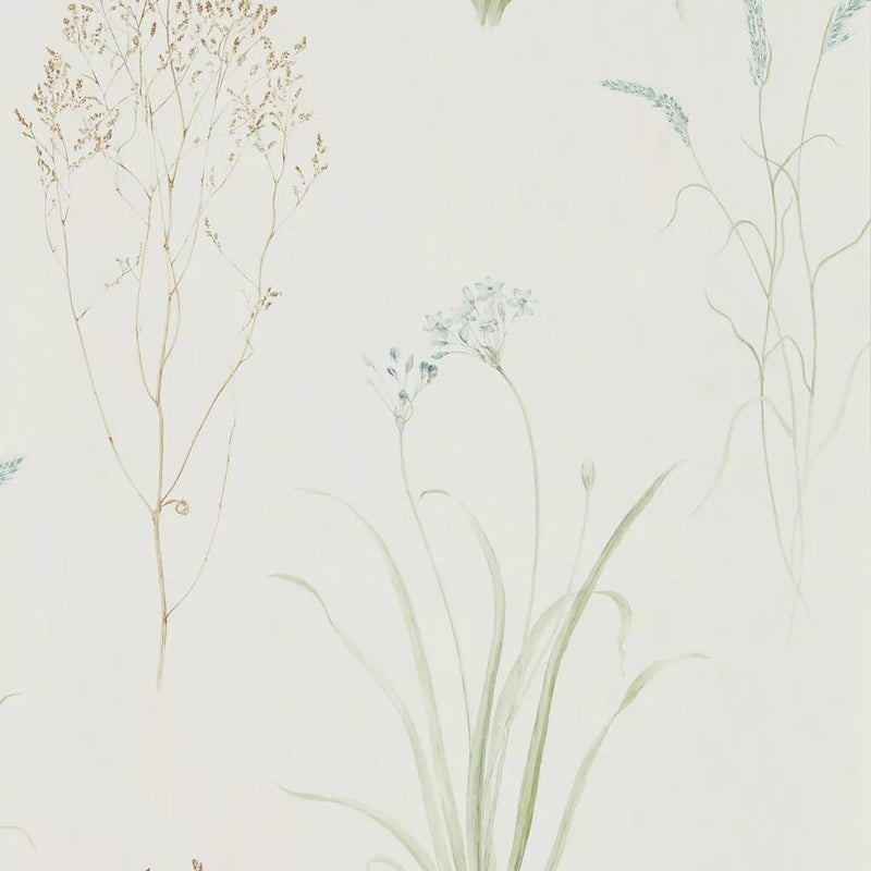 Sanderson Farne Grasses design wallpaper with wild flowers (British brand)