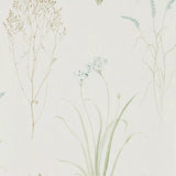 Sanderson Farne Grasses design wallpaper with wild flowers (British brand)