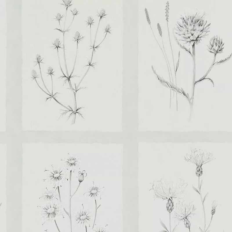 Sanderson Little Thistles wallpaper (British brand)