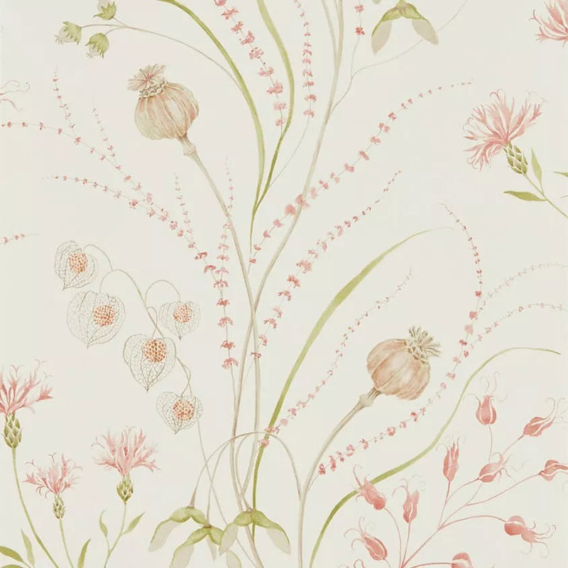 Sanderson Summer Harvest Wallpaper (British brand)