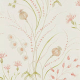 Sanderson Summer Harvest Wallpaper (British brand)