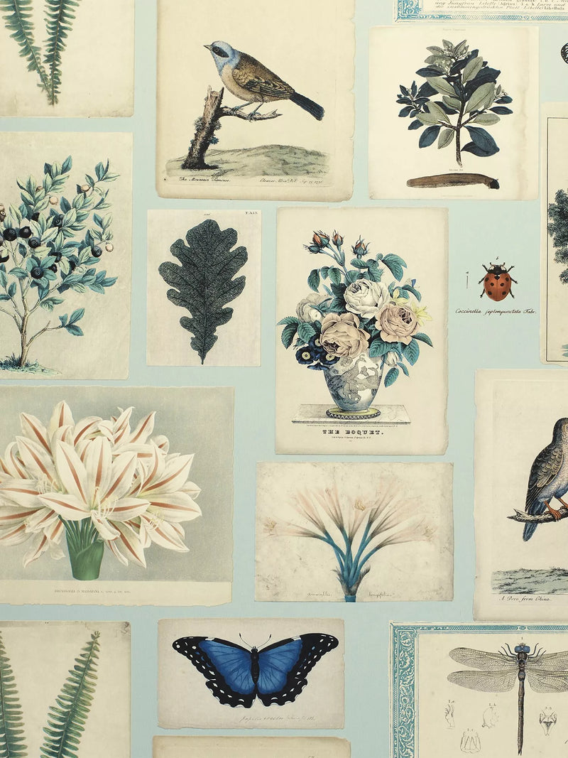 Designers Guild flora and fauna wallpaper 10m x 52cm, imported from the UK