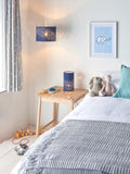 John Lewis Stardust lampshade star pattern, UK version