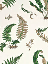 John Lewis GP & J Baker Ferns Wallpaper 10m x 52cm- Buy online at McGrocer