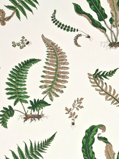 John Lewis GP & J Baker Ferns Wallpaper 10m x 52cm- Buy online at McGrocer
