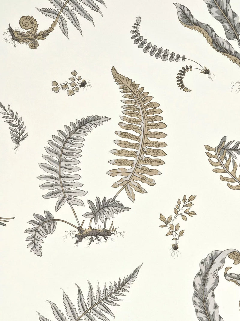 GP & J Baker Ferns Wallpaper 10m x 52cm