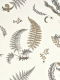 GP & J Baker Ferns Wallpaper 10m x 52cm