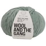 Wool And The Gang Crazy Sexy Wool Super Chunky Yarn 200g