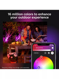 Philips Hue Lily smart outdoor spotlight extension Black (British brand)