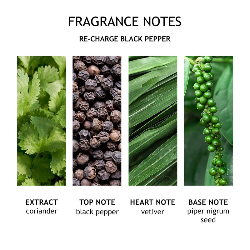 Molton Brown Black Pepper body lotion 300ml, imported from the UK