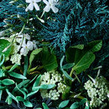 Molton Brown Coastal Cypress & Sea Fennel hand wash 300ml, imported from the UK